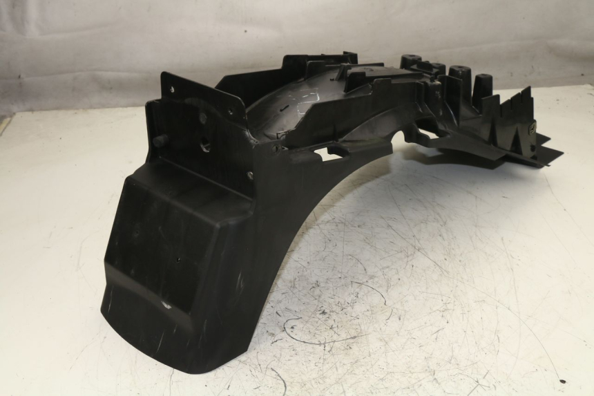 photo de RADHAUS HINTEN TRIUMPH TIGER 955 (2001 - 2004)