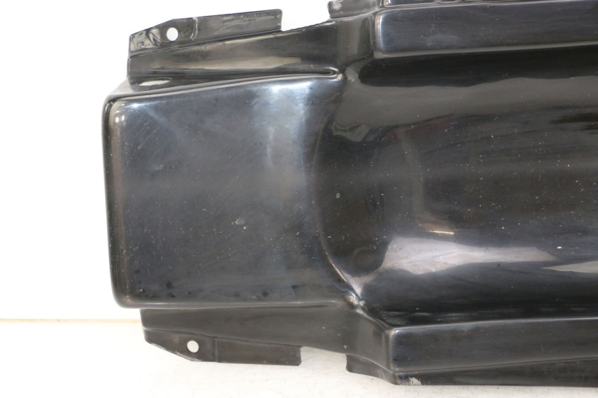 photo de RADHAUS HINTEN YAMAHA FZS FAZER 600 (2001 - 2003)