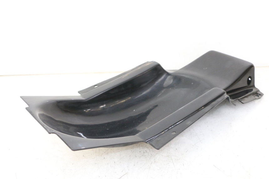 photo de RADHAUS HINTEN YAMAHA FZS FAZER 600 (2001 - 2003)