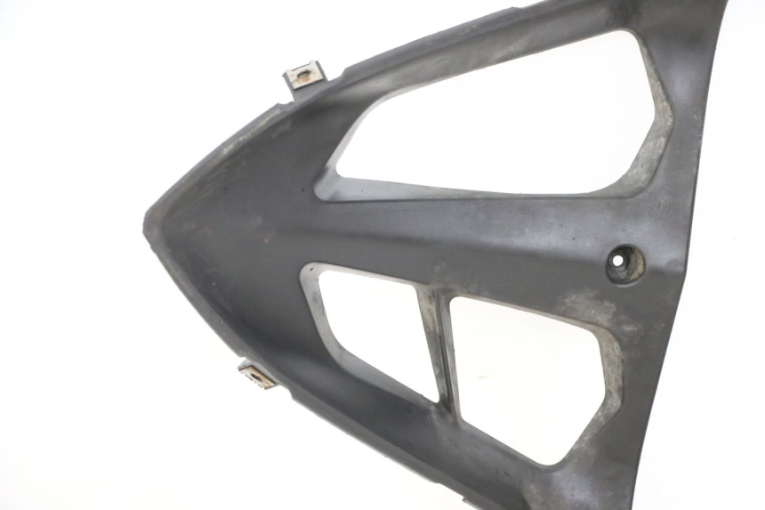photo de RADHAUS VORNE APRILIA RS 50 (2006 - 2010)