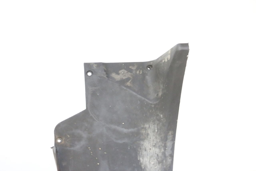 photo de RADHAUS VORNE PIAGGIO MP3 RL 250 (2007 - 2010)