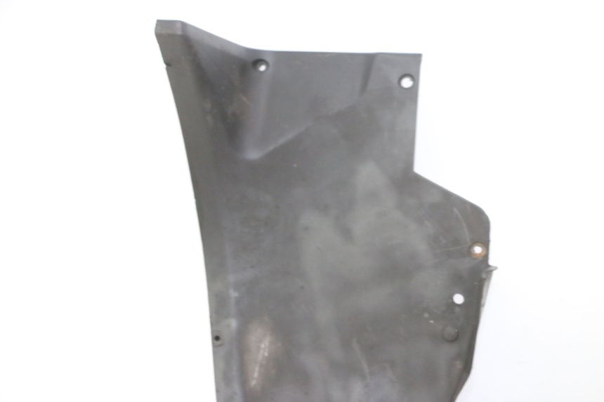 photo de RADHAUS VORNE PIAGGIO MP3 RL 250 (2007 - 2010)