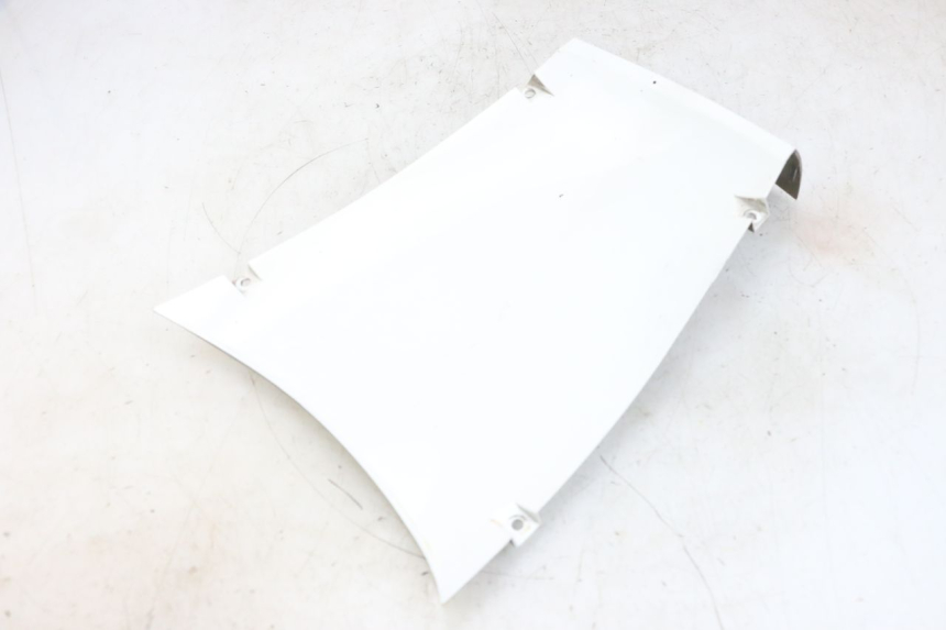 photo de RADHAUS VORNE PEUGEOT TWEET PRO EFI 4T 50 (2021 - 2022)