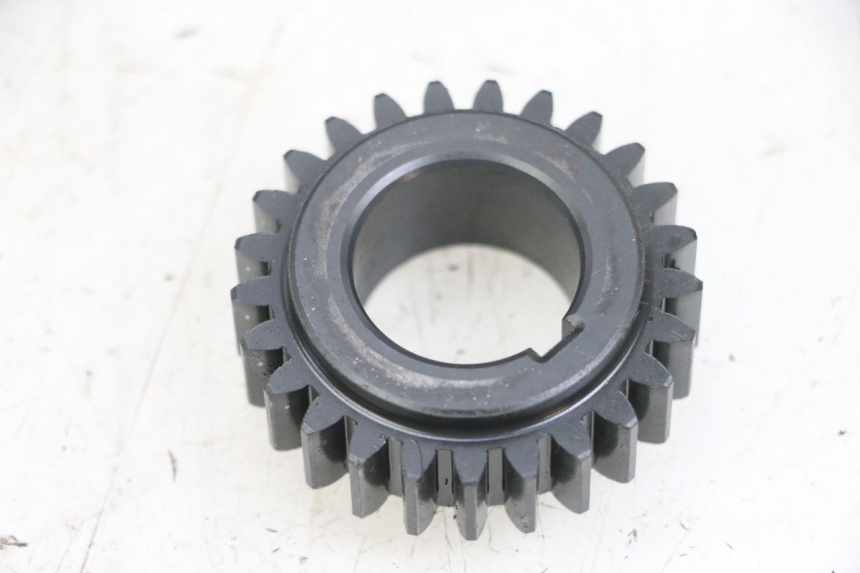 photo de RITZEL DAELIM S1 125 (2007 - 2016) - Alternative Perspektive