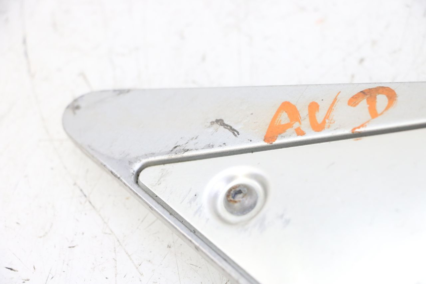 photo de FUSSRASTEN HALTEPLATTEN VORN RECHT YAMAHA FZ6 FAZER S2 600 (2007 - 2011)