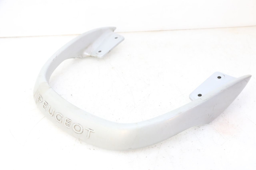 photo de HINTERRADGRIFF PEUGEOT CITYSTAR 50 (2013 - 2017)