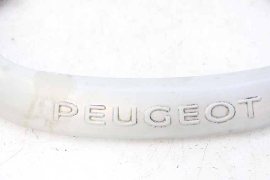 photo de HINTERRADGRIFF PEUGEOT CITYSTAR 50 (2013 - 2017)