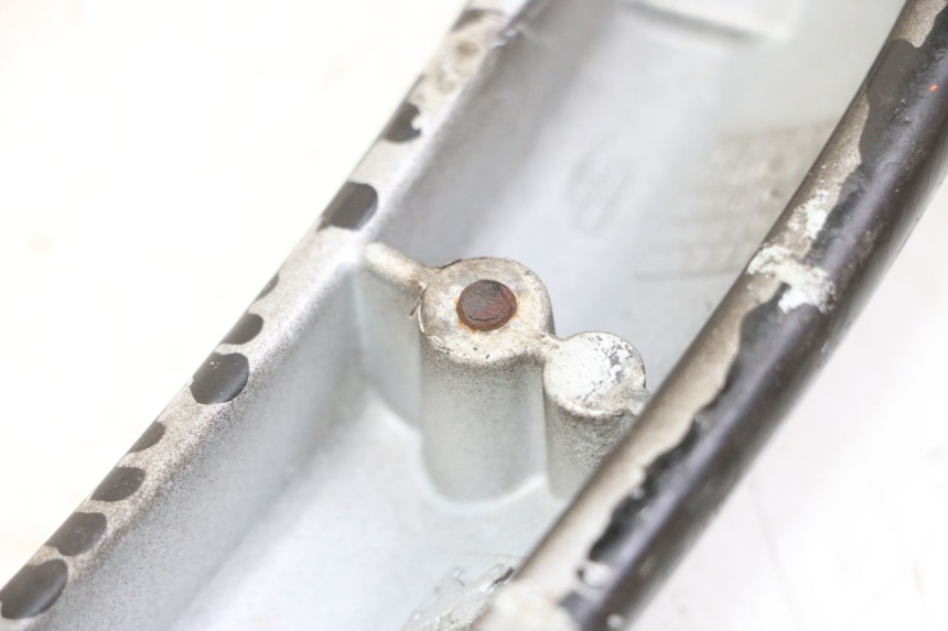 photo de HINTERRADGRIFF PEUGEOT CITYSTAR 50 (2013 - 2017)