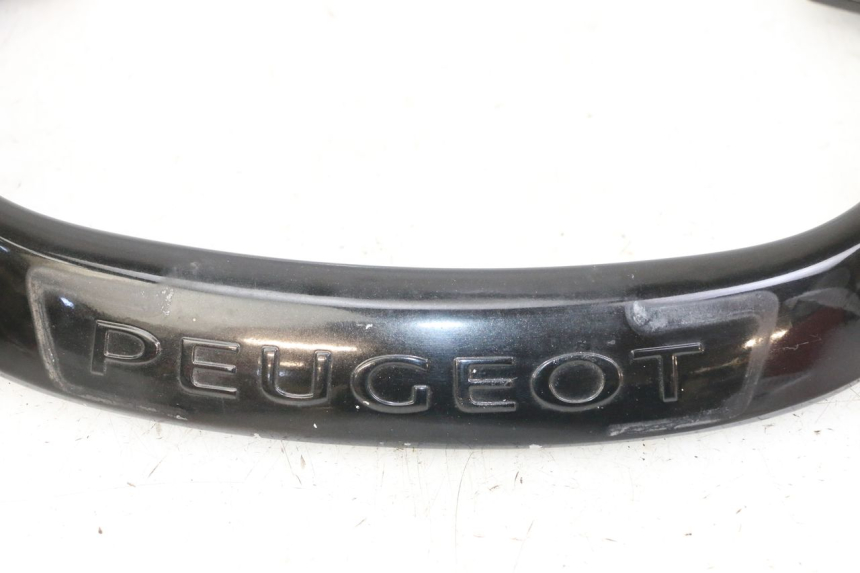 photo de HINTERRADGRIFF PEUGEOT CITYSTAR 2T 50 (2018 - 2021)