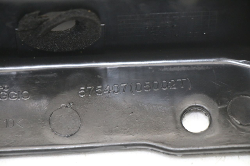 photo de HINTERRADGRIFF PIAGGIO ZIP 2T 50 (2009 - 2019)