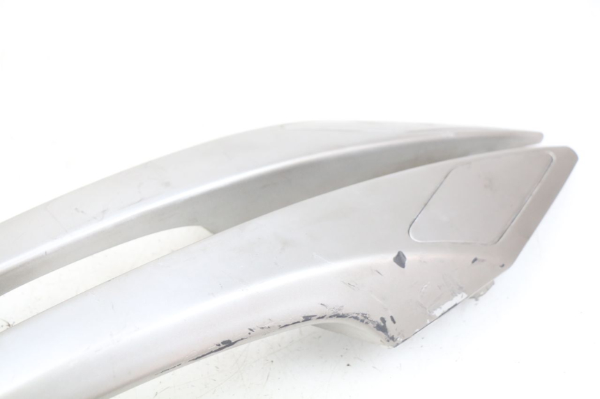 photo de HINTERRADGRIFF PEUGEOT SATELIS 125 (2010 - 2012)