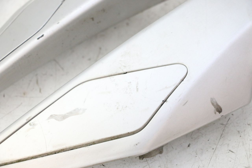 photo de HINTERRADGRIFF PEUGEOT SATELIS 125 (2006 - 2009)