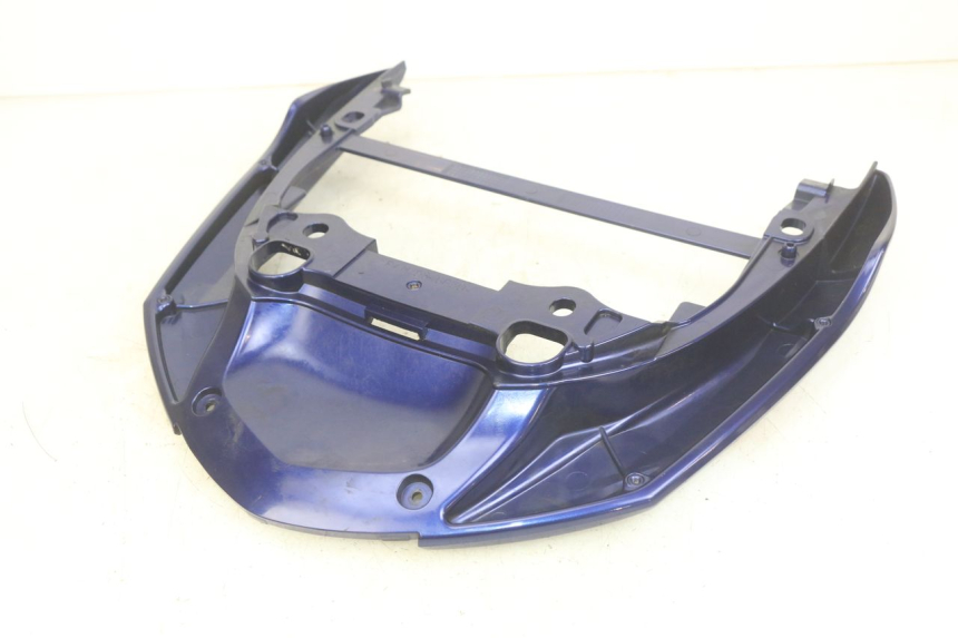photo de HINTERRADGRIFF YAMAHA YP MAJESTY 400 (2004 - 2008)