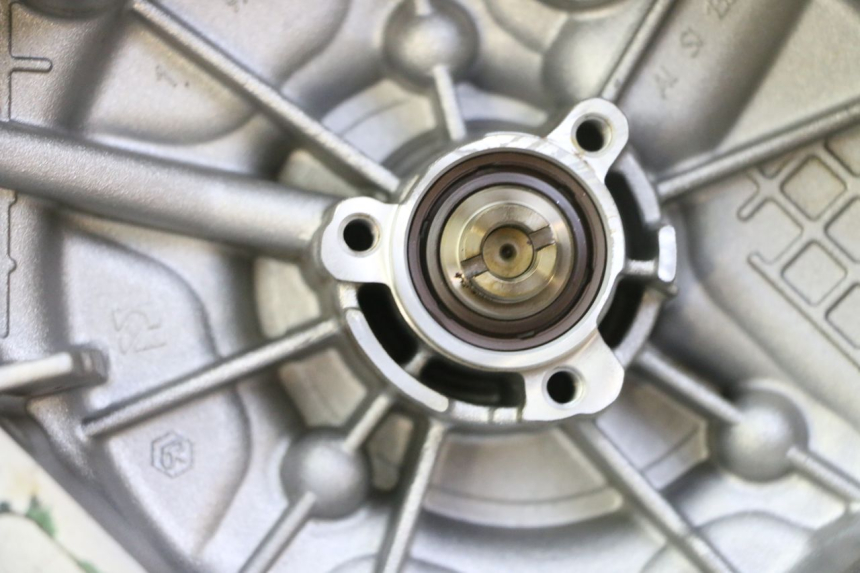 photo de WASSERPUMPE PIAGGIO MP3 RL 250 (2007 - 2010)