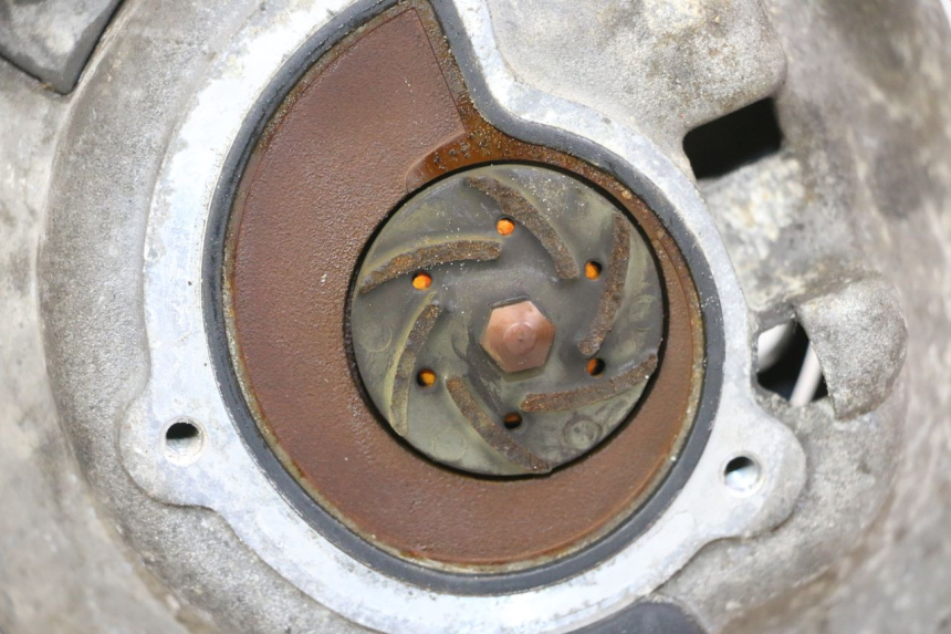 photo de WASSERPUMPE PIAGGIO MP3 125 (2006 - 2014)