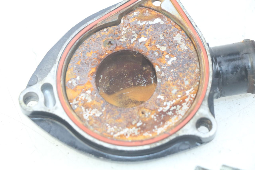photo de WASSERPUMPE TRIUMPH SPRINT ST 955 (1999 - 2001)