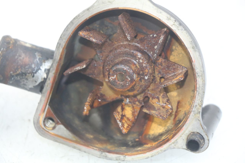 photo de WASSERPUMPE TRIUMPH SPRINT ST 955 (1999 - 2001)