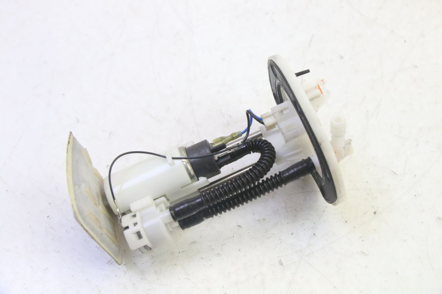 photo de BENZINPUMPE PEUGEOT TWEET PRO EFI 4T 50 (2021 - 2022)