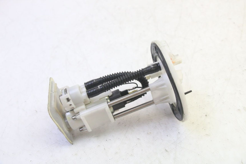 photo de BENZINPUMPE PEUGEOT TWEET PRO EFI 4T 50 (2021 - 2022)