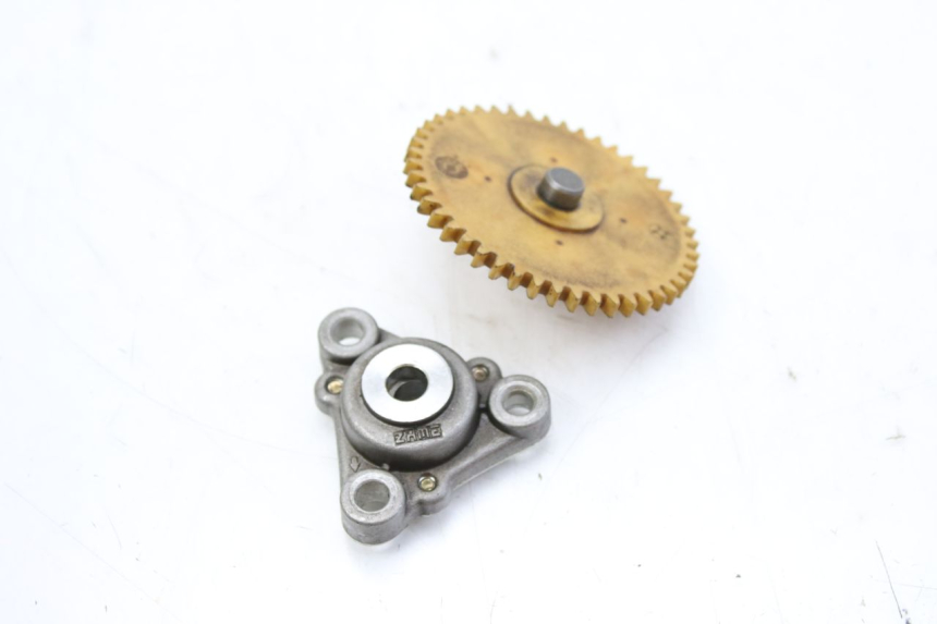 photo de ÖLPUMPE TNT MOTOR BOSTON 4T 50 (2018 - 2025)