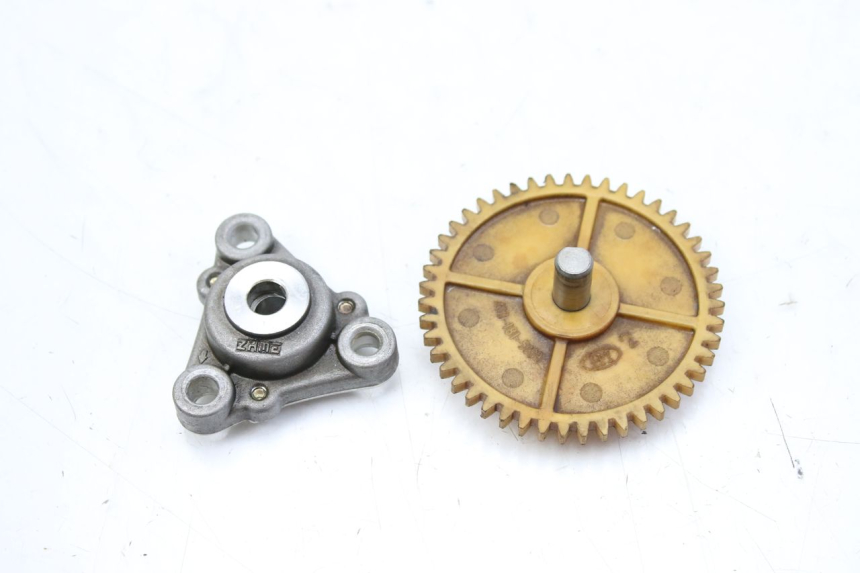 photo de ÖLPUMPE TNT MOTOR BOSTON 4T 50 (2018 - 2025)