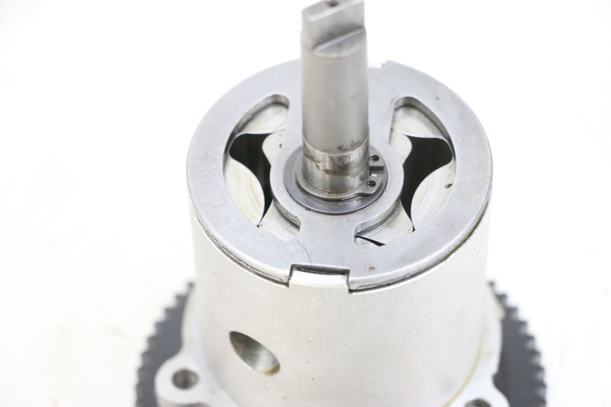 photo de ÖLPUMPE  MV AGUSTA BRUTALE R WALLY 910 (2008 - 2008) - Detailansicht des Bauteils