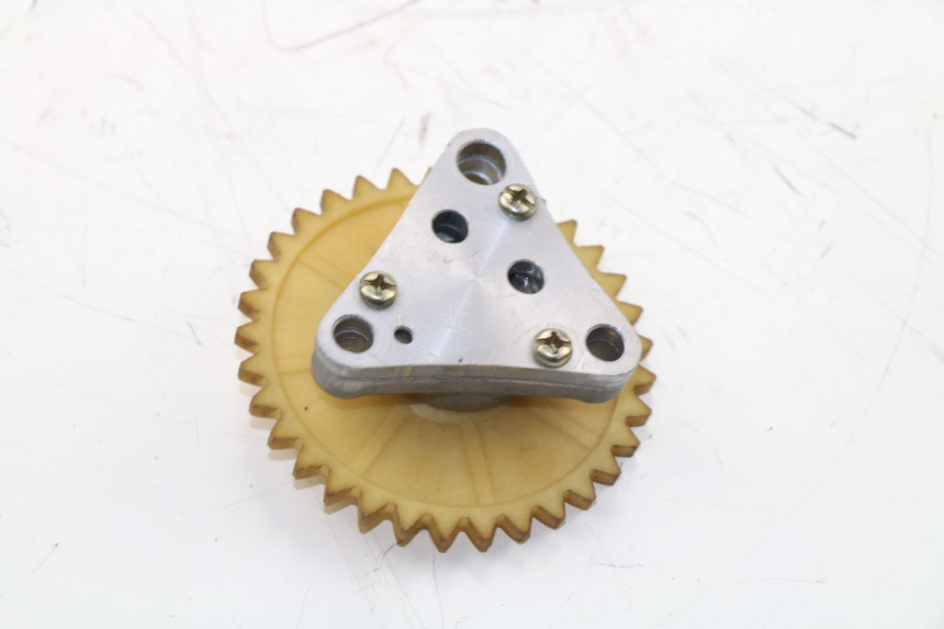 photo de ÖLPUMPE  BAOTIAN BT 49 QT-9 50 (2006 - 2010)