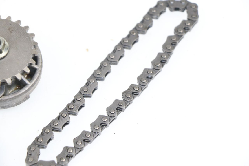 photo de ÖLPUMPE  DAELIM BESBI 125 (2007 - 2008)