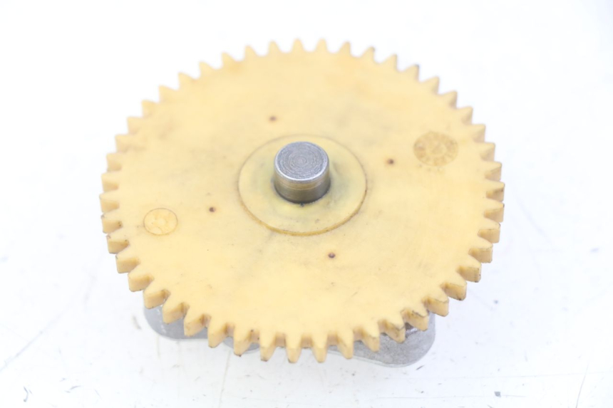 photo de ÖLPUMPE  LONGJIA DIGITA 4T 50 (2019 - 2022)