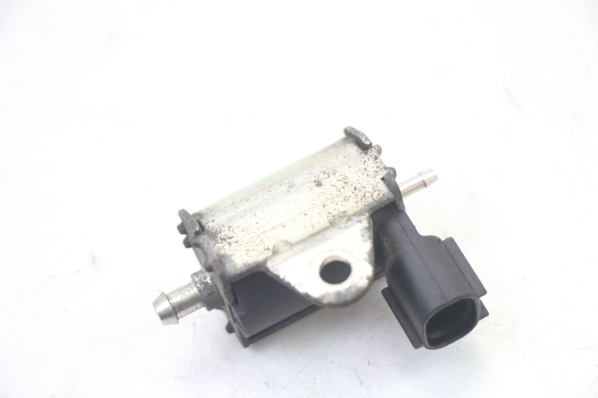 photo de ÖLPUMPE PEUGEOT ELYSTAR 50 (2002 - 2014)