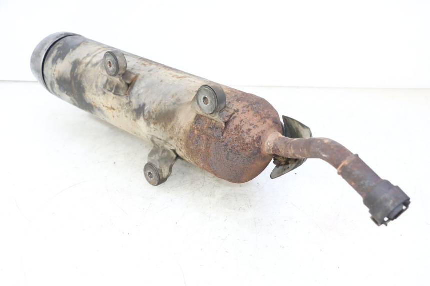 photo de AUSPUFFANLAGE SUZUKI BURGMAN 125 (2007 - 2014)