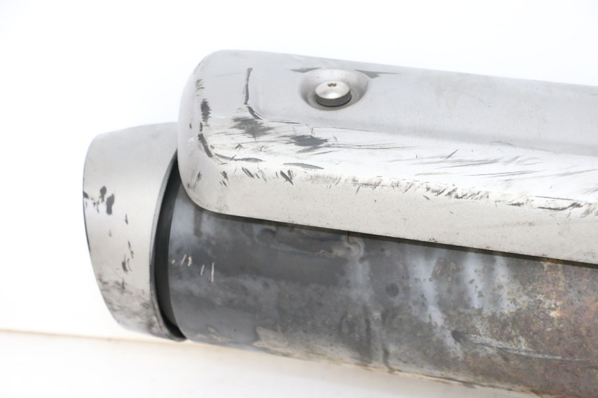 photo de AUSPUFFANLAGE SUZUKI BURGMAN 125 (2007 - 2014)