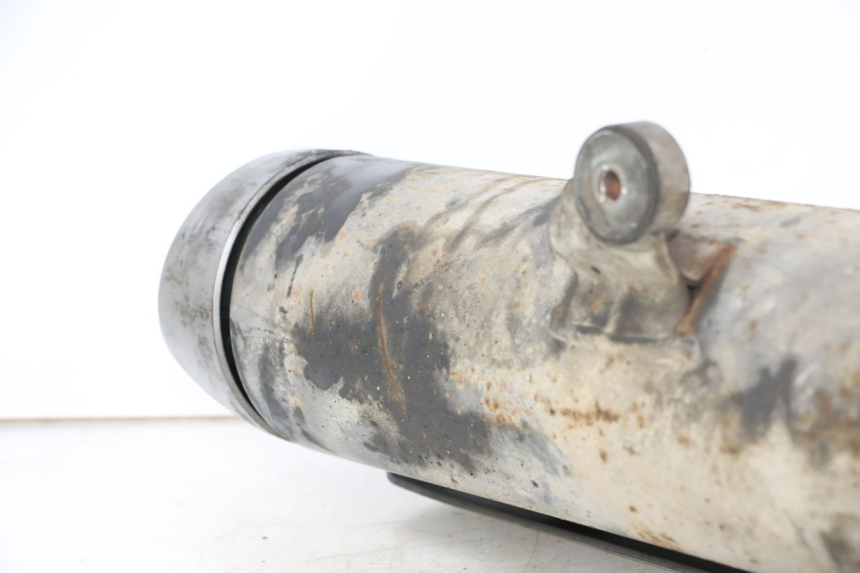 photo de AUSPUFFANLAGE SUZUKI BURGMAN 125 (2007 - 2014)