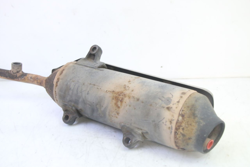 photo de AUSPUFFTOPF HONDA FES S-WING SWING ABS 125 (2007 - 2015)