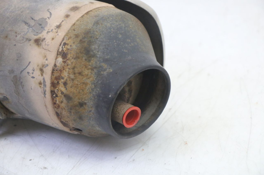 photo de AUSPUFFTOPF HONDA FES S-WING SWING ABS 125 (2007 - 2015)