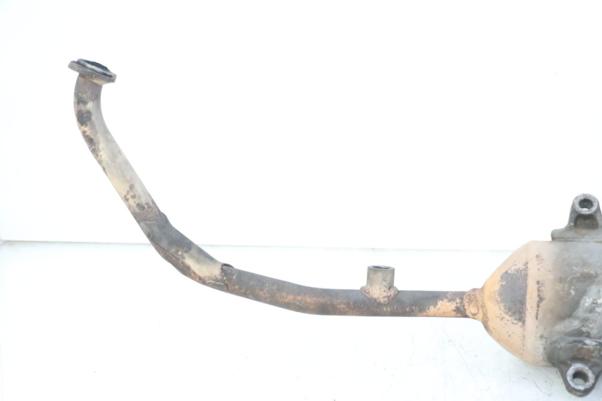 photo de AUSPUFFTOPF HONDA FES S-WING SWING ABS 125 (2007 - 2015)