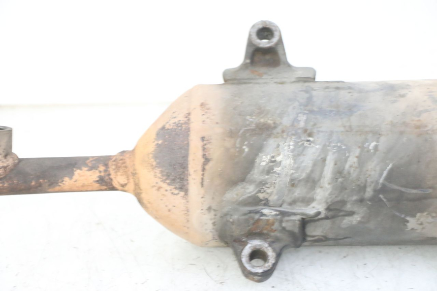 photo de AUSPUFFTOPF HONDA FES S-WING SWING ABS 125 (2007 - 2015)