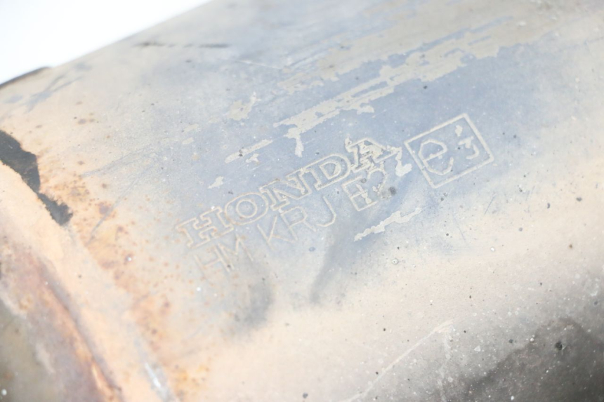 photo de AUSPUFFTOPF HONDA FES S-WING SWING ABS 125 (2007 - 2015)