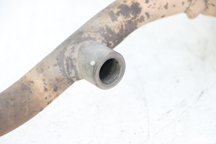 photo de AUSPUFFTOPF HONDA FES S-WING SWING ABS 125 (2007 - 2015)