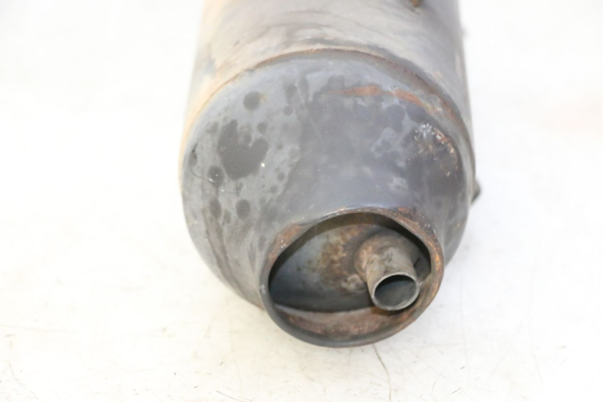 photo de AUSPUFFTOPF HONDA FES S-WING SWING ABS 125 (2007 - 2015)