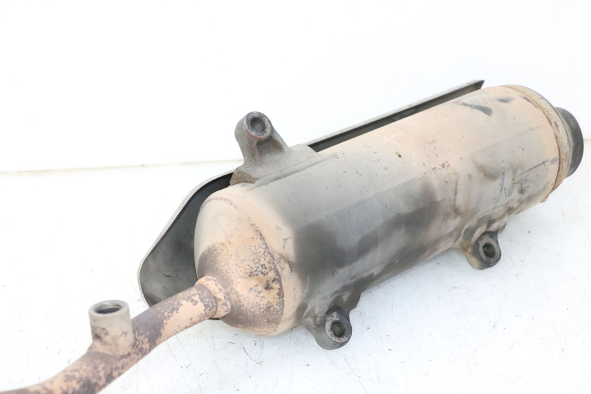 photo de AUSPUFFTOPF HONDA FES S-WING SWING ABS 125 (2007 - 2015)