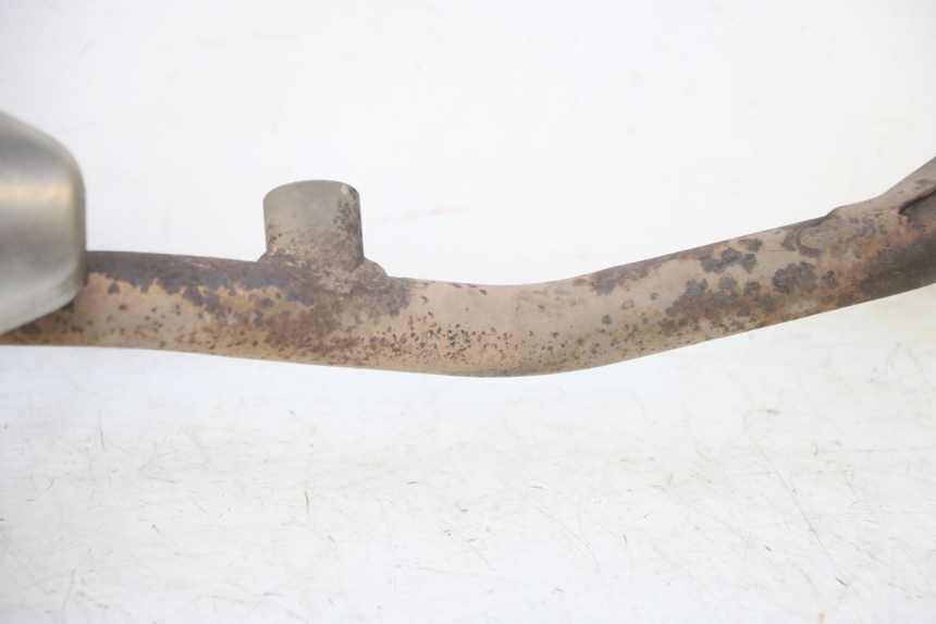 photo de AUSPUFFTOPF HONDA FES S-WING SWING ABS 125 (2007 - 2015)