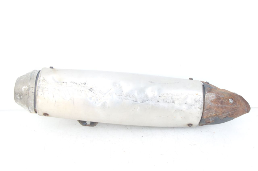 photo de AUSPUFF PEUGEOT GEOPOLIS RS 125 (2007 - 2009)