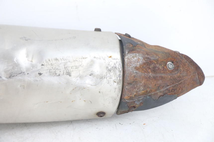 photo de AUSPUFF PEUGEOT GEOPOLIS RS 125 (2007 - 2009)