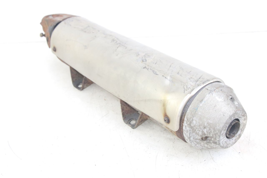 photo de AUSPUFF PEUGEOT GEOPOLIS RS 125 (2007 - 2009)