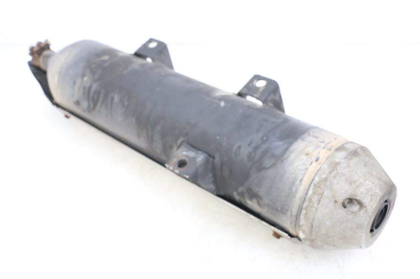 photo de AUSPUFF PEUGEOT GEOPOLIS RS 125 (2007 - 2009)