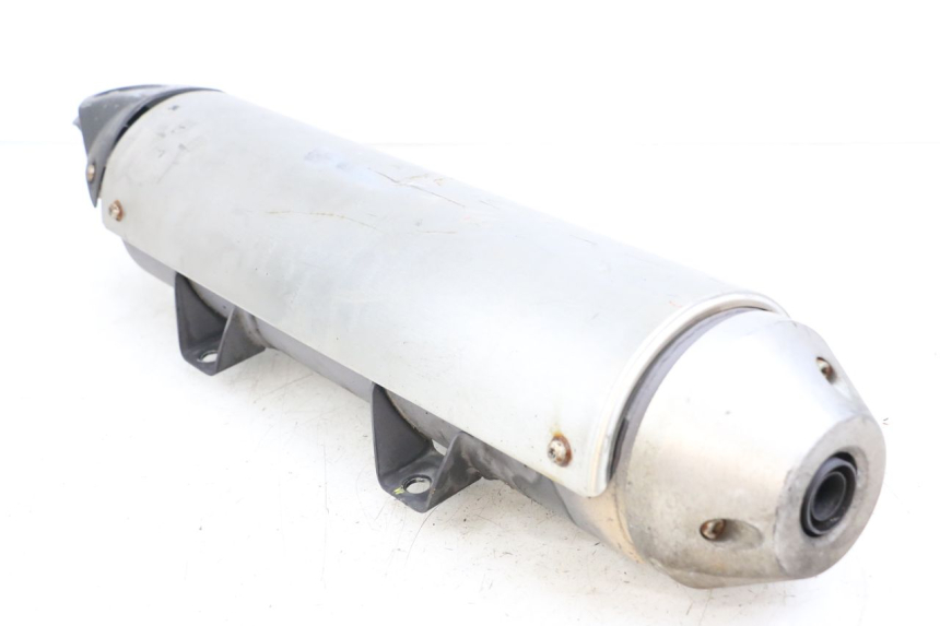 photo de AUSPUFF PEUGEOT GEOPOLIS RS 125 (2007 - 2009)