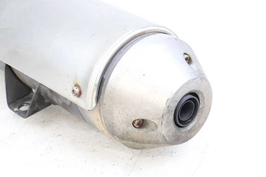 photo de AUSPUFF PEUGEOT GEOPOLIS RS 125 (2007 - 2009)