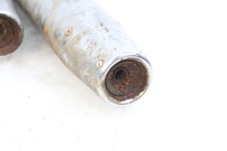 photo de AUSPUFFTOPF HYOSUNG GV AQUILA 125 (2000 - 2004) - Technische Nahaufnahme