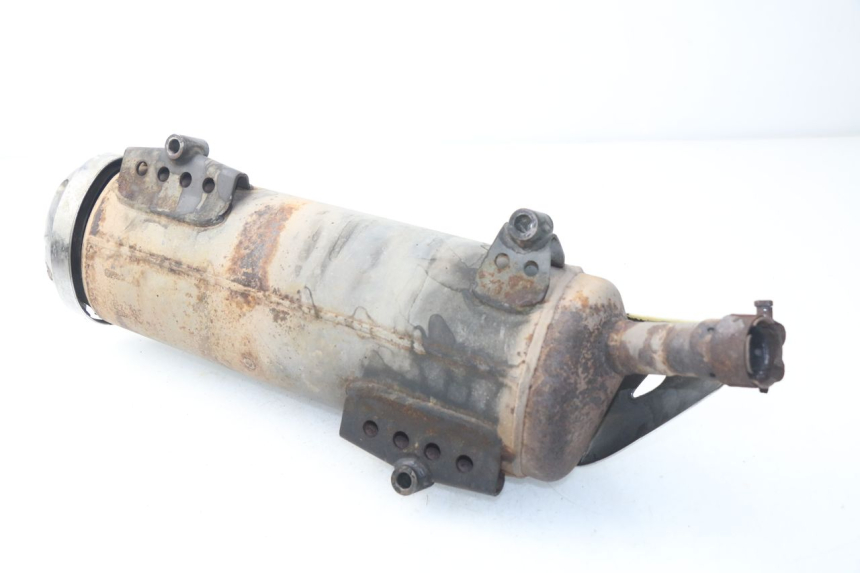 photo de AUSPUFF HONDA NSS EX FORZA 250 (2008 - 2009)